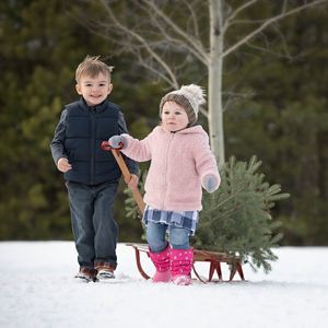 Meet your Posher, Terrie